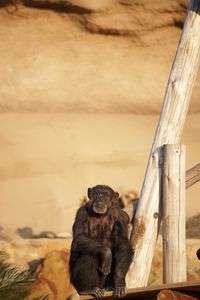 夕暮れの頃・・・