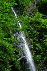 小菅　白糸の滝