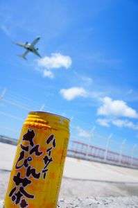 さんぴん茶と訓練飛行機