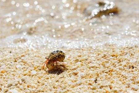 おうちさがし２