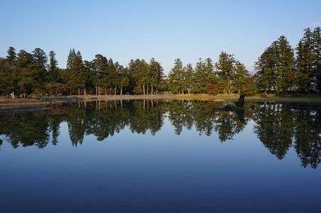 世界遺産　毛越寺