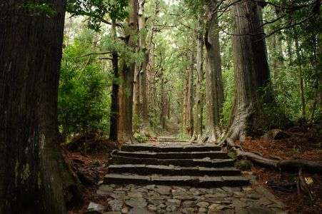 THE・熊野古道