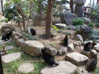 今からこっち向いて