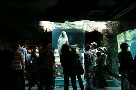 あっという間に