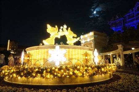 闇夜を照らす灯