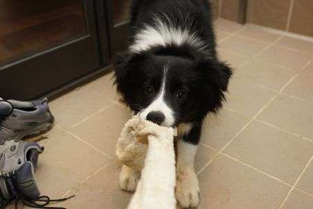 汚いタオル・・・