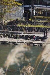 ススキ越しの・・・