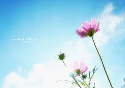 秋色を探して２