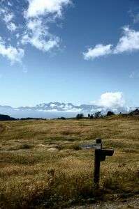 私が見た秋の色