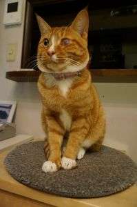 あそんだあとは・・・