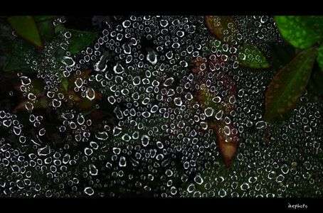 Ｊｅｗｅｌｒｙ