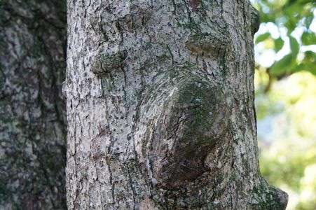 ちょっと困り顔