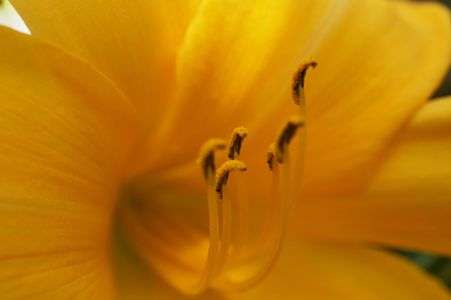 もうすぐ夏だ～！