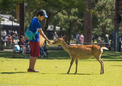 お天気に誘われて