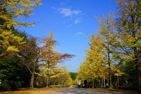 買っちまった・・・。