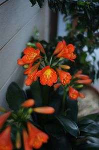 １５回目の出会い