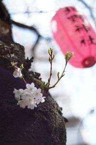 まもなく・・。