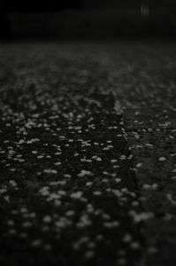 2012夜桜惨敗宣言