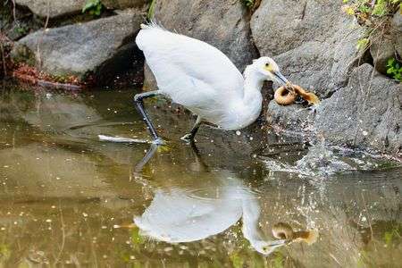 静寂を破る瞬間