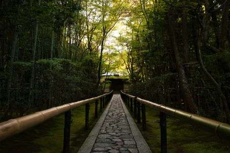 大徳寺　高桐院