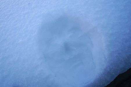 良い大人は真似しちゃいけません（？）