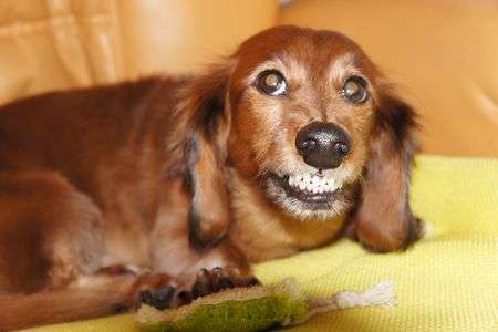 俺は怒ってるんだ！！