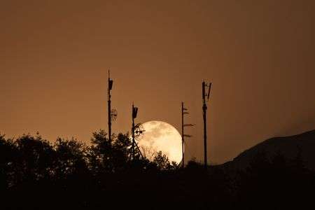 満月のシルエット