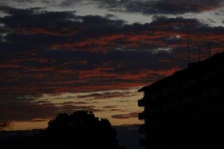 雲を下から炙(あぶる)っているような、朝焼けでした。