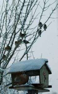 早くどけてよパート２