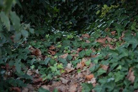 初めてのM-ROKKOR