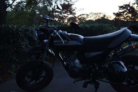 エイエイプ～♪