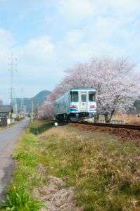 春色鉄道  #長良川鉄道#