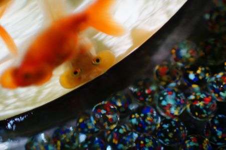 おこりんぼちゃん