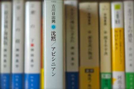 沈黙／アビシニアン