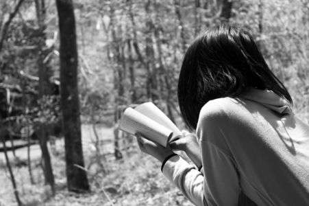 森の中での読書