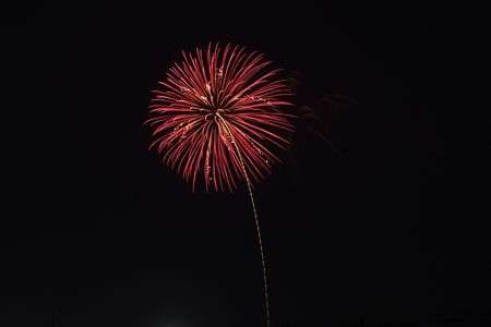 たまむら花火2019