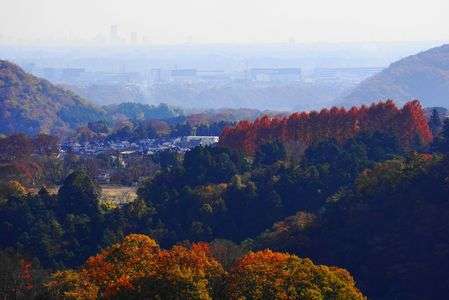 宮ケ瀬ダム遠景！