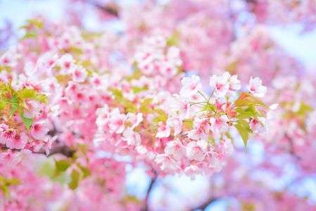 陽だまりのなかで