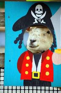 海賊王に俺はなるっ！