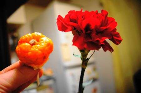 ダブルフラワー なんちゃって