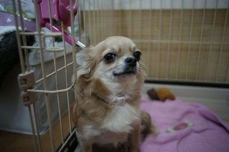 わたし　き💛れ💛い？