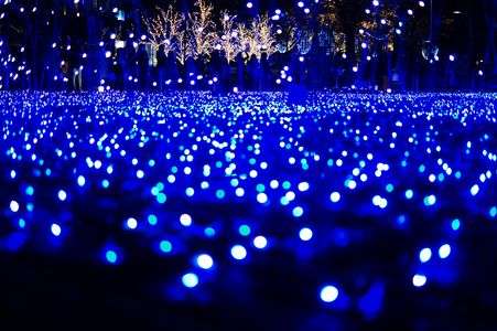 六本木ミッドタウン