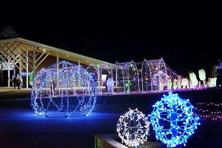 光のトンネルを登ろう！