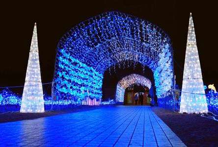 青のトンネル 〜おやべイルミ2025より〜