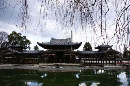 冬の宇治平等院