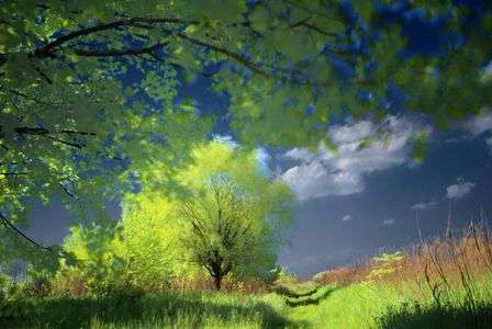 鴻巣の５月－２