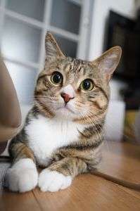 ども！久しぶりに一眼で撮ってもらったよ