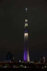 スカイツリー　紫