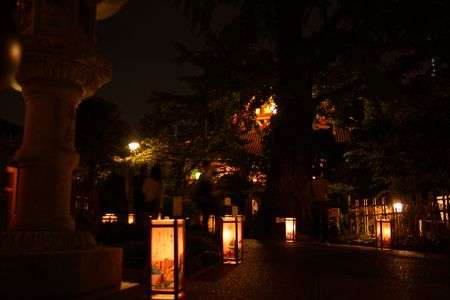 浅草寺　灯篭会