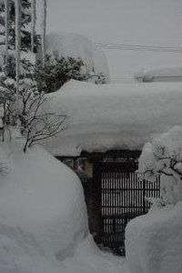 豪雪になりそうな